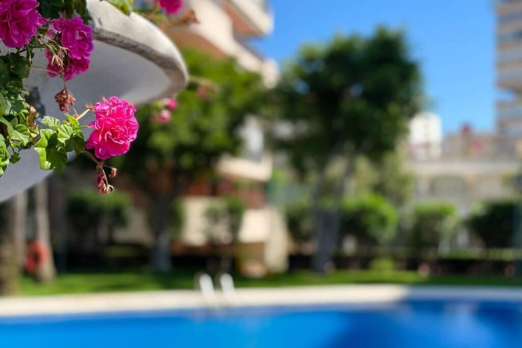 Encantador Y Coqueto Loft A 8 Min. De La Playa. لقنت المظهر الخارجي الصورة